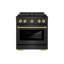 ZLINE Autograph 30 in. Paramount Dual Fuel Range w/ DuoPro Cooktop in Black Steel and Gold Accents-2029371657