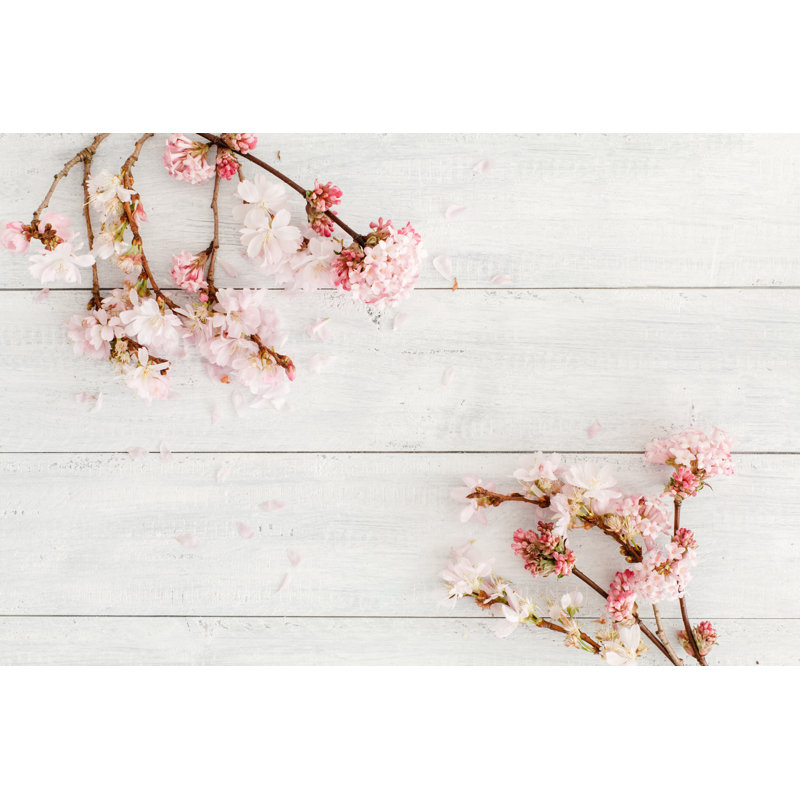 Pink Cherry Blossoms by Skarau - Wrapped Canvas Print, 30cm H x 46cm W