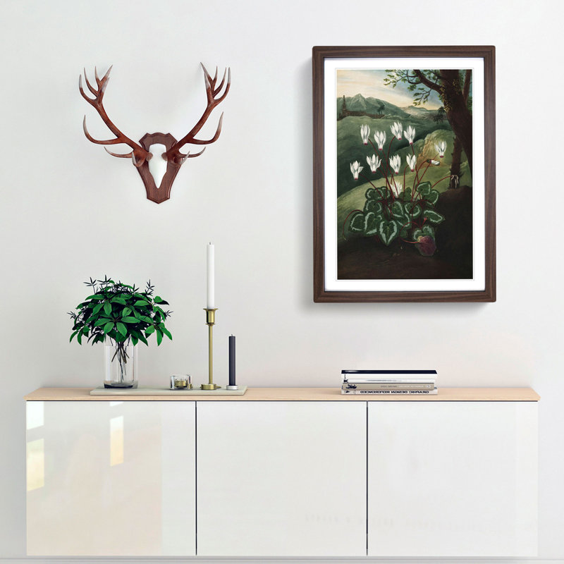 The Persian Cyclamen by R.J. Thornton - Picture Frame Painting Print, 48cm H x 36cm W x 2cm D, Walnut Framed