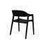 Fauteuils de salle à manger Westlake (2)-1697581401