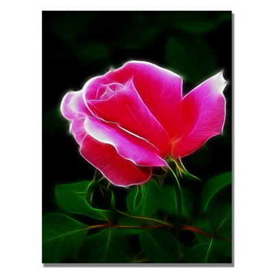 Pink Rose Abstract by Kathie McCurdy - Print on Canvas