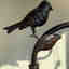 Customer photo 3 of 3