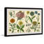 Southern Globethistle - Single Picture Frame Painting-696561936