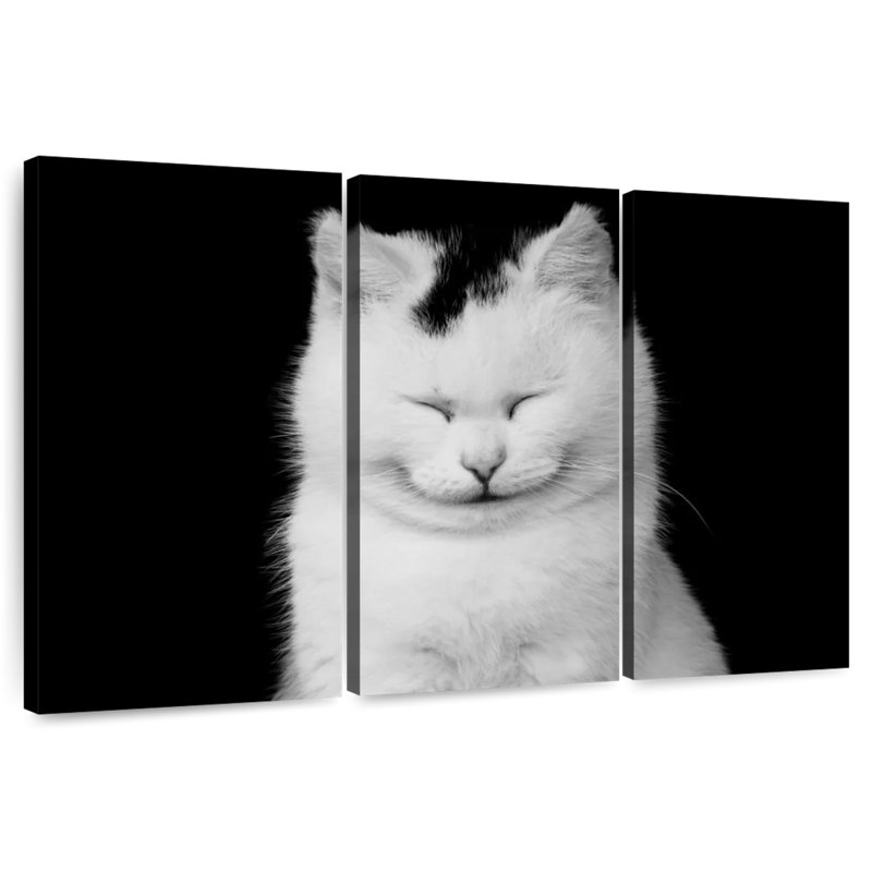 Delighted White Cat, 42" H x 65" W