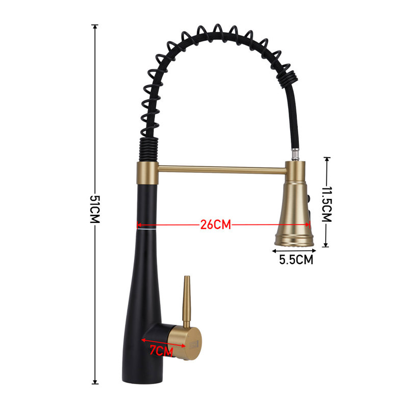 Belfry Kitchen Pull Out Kitchen Faucet, Black/Gold