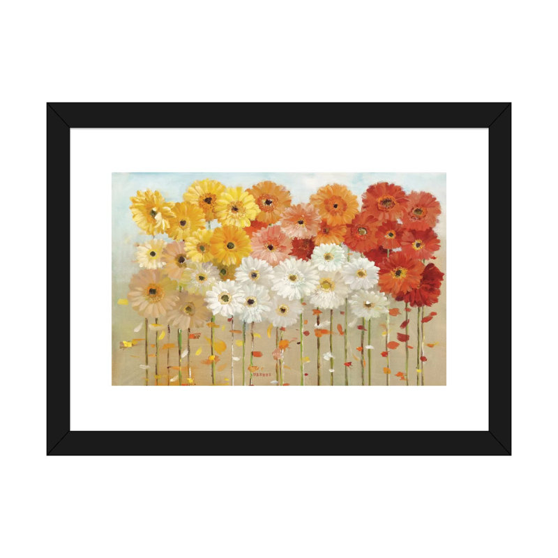 «Daisies Spring» par Danhui Nai - reproduction d'art, H 16 po x l 24 po x P 1 po, Papier encadré noir