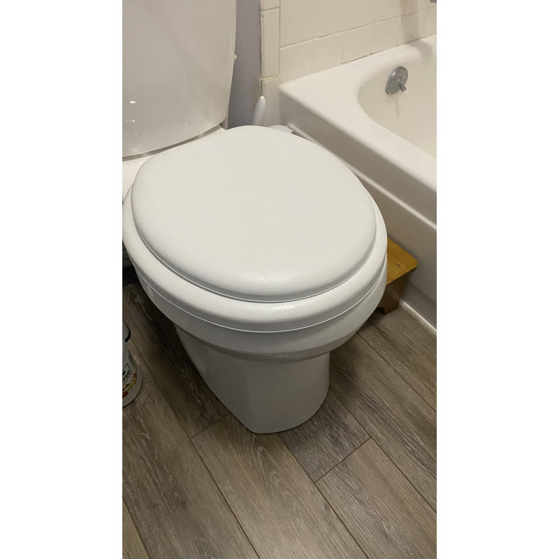 Padded Toilet Seat with Chrome Hinges(Round/White)