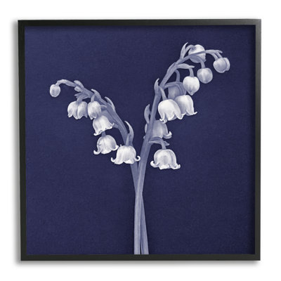 Muguet blanc