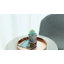 Metal Tray-127511191