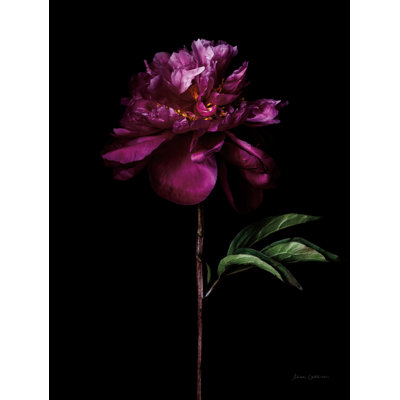 Portrait de pivoines - reproduction sur toile tendue