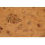 Tapis oriental doré / brun clair en laine noué à la main 7 pi 10 po x 10 pi 3 po Abbigail