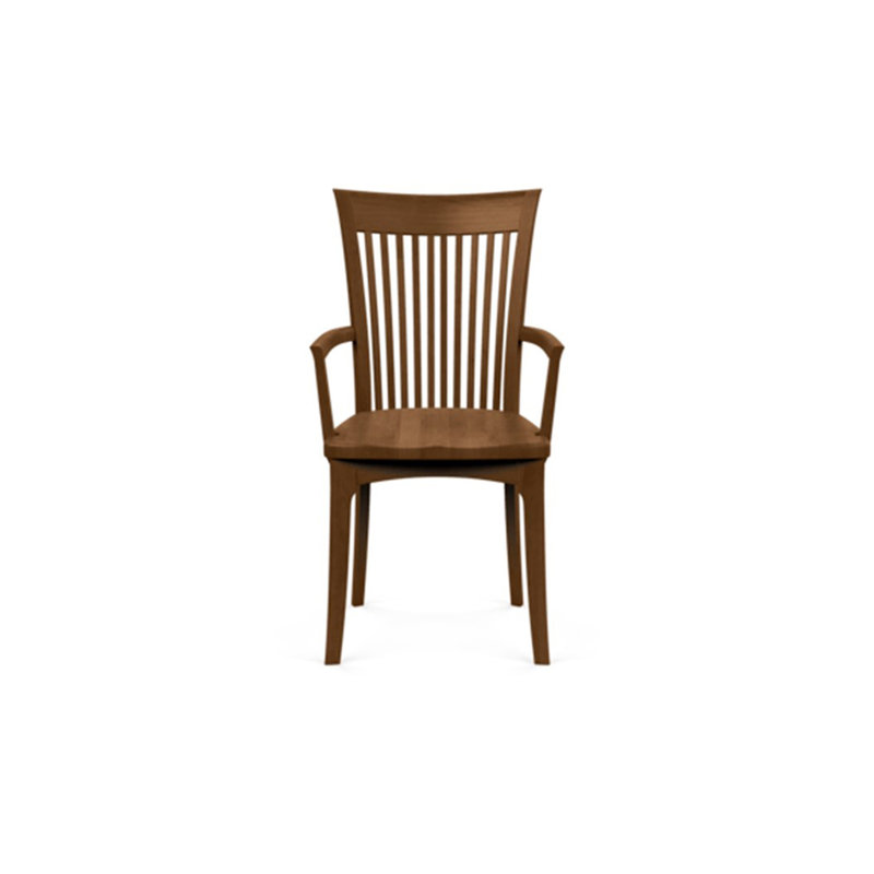 Sarah 19.25'' H Upholstered Armchair, Saddle Cherry, None
