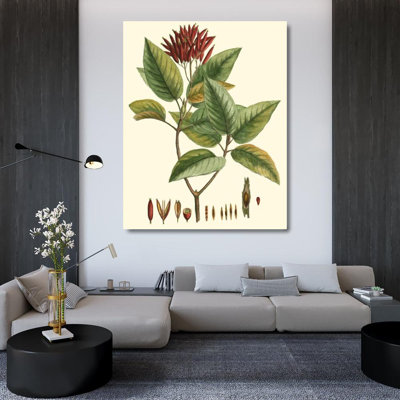 Red Barrel Studio® Hierseman Gallery Wrapped Canvas Art Titled: Crimson Botanical IV 39390D