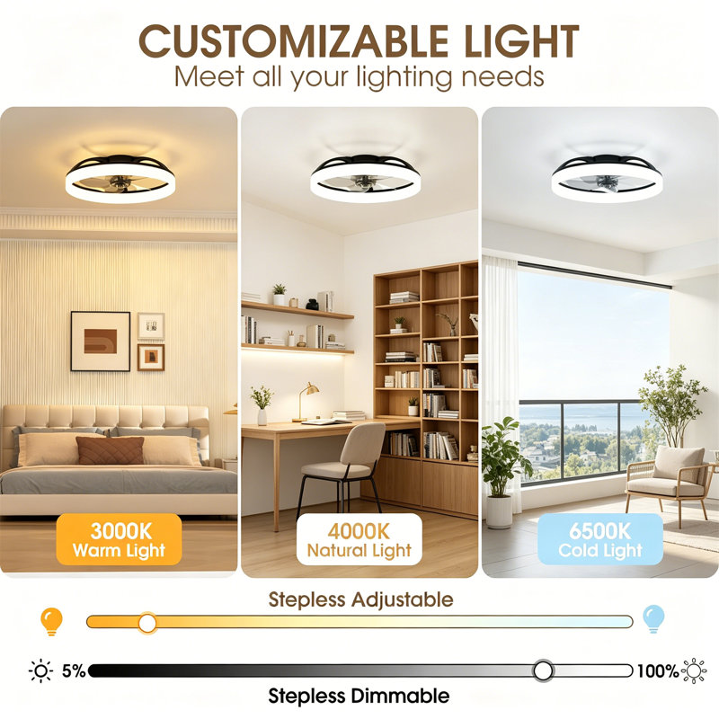Ceiling Fan