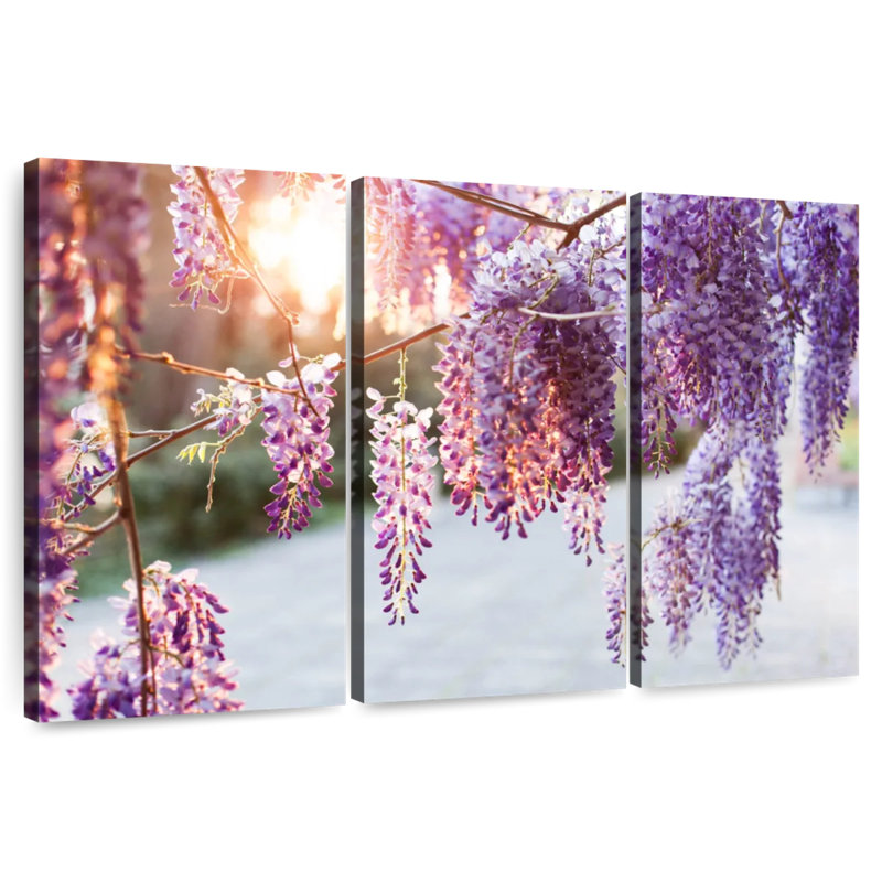 Harnek Wisteria Vine, H 36 po x l 57 po