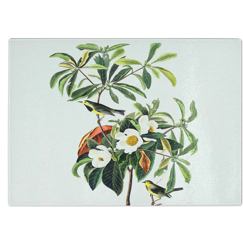 Tempered Glass Bachmans Warbler Birds Chopping Board, 39 cm W x 28.5 cm L