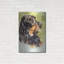 «Gordon Setter» par Barbara Keith-887910890