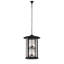 Fulton 8 - Light Chandelier
