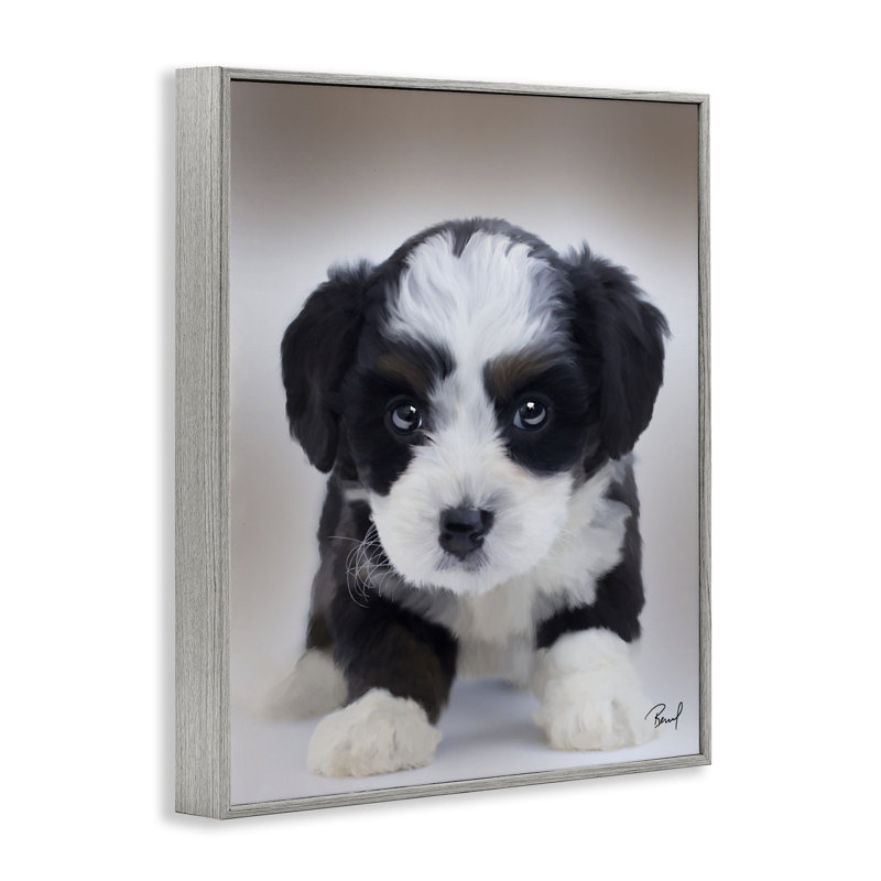 «Fluffy Bernedoodle Puppy», art de la giclée encadrée, design par Renel Peters, Estampe numérique Farmhouse