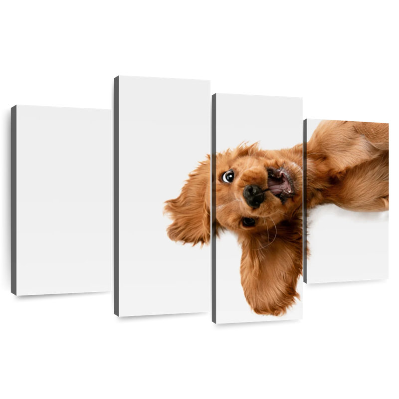Brampt Happy Cocker Spaniel Puppy, 27" H x 43" W
