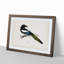 Eurasian Magpie by Von Wright - Picture Frame Painting Print-55539586-55539587