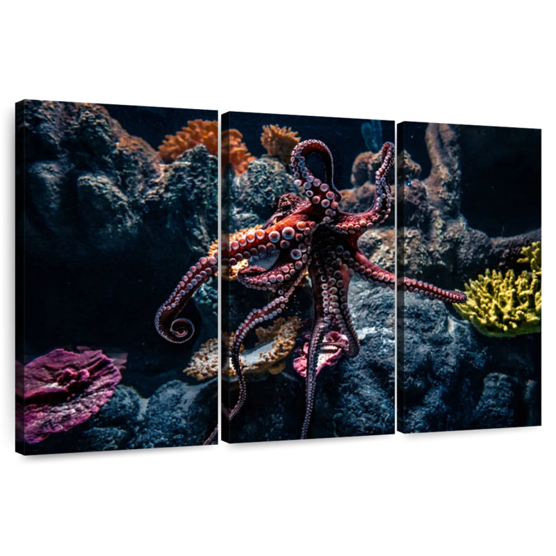 Octopus Habitat, 28" H x 45" W