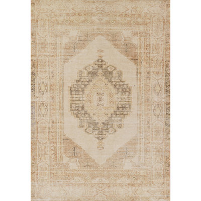 Deyanne Oriental Indoor Rug