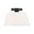 Orlandus 1-Light Ceiling Light in Matte Black-491475285