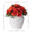 Marigold Potted Arrangement