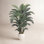 Moreell Palm Tree Plant in Pot
