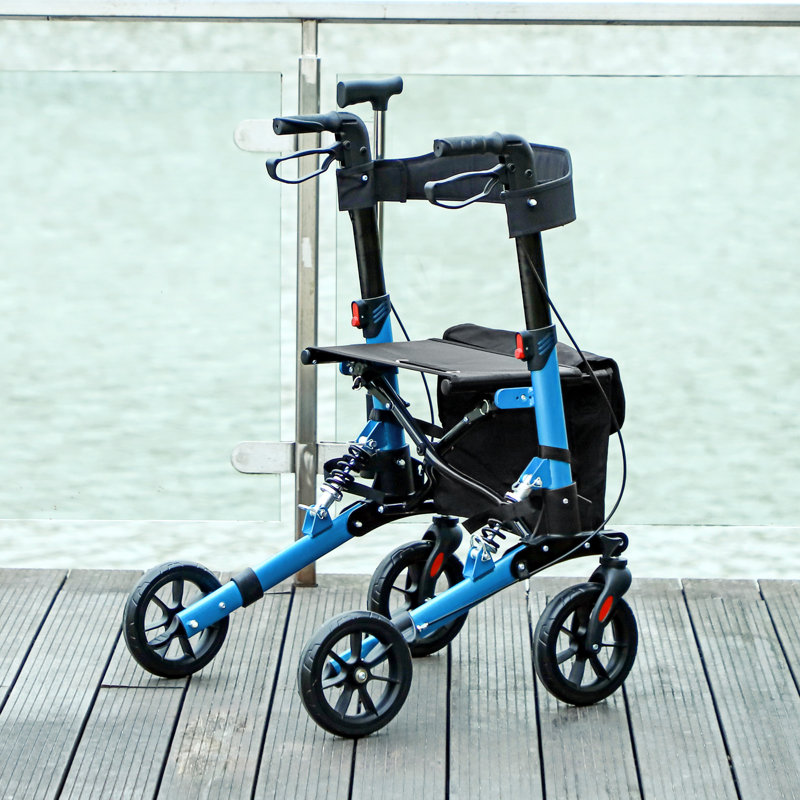 Rollator Walker, Blue