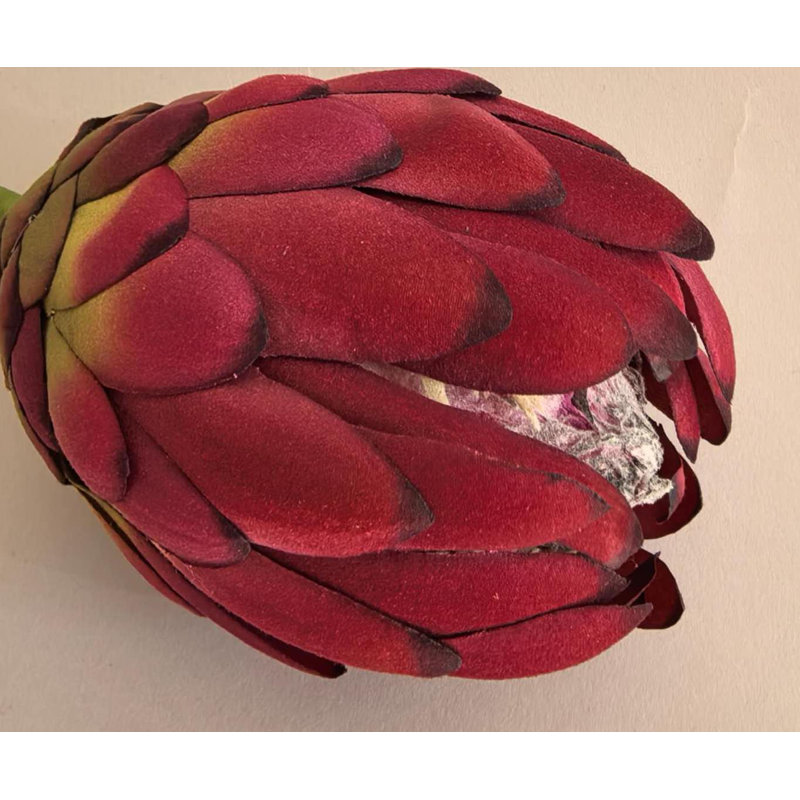 PIQUET DE PROTÉA BORDEAUX 10''