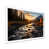 White Single Picture Framed