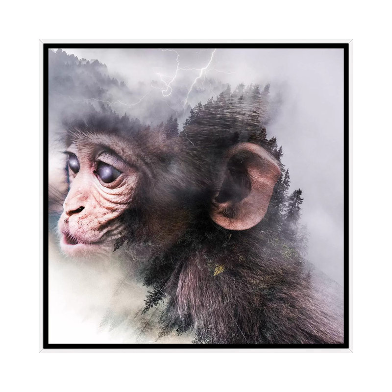 Monkey by Paul Haag - Print on Canvas, 45.72 cm H x 45.72 cm W, White Framed