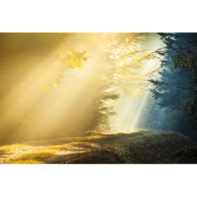 Light And Shadow - Wrapped Canvas Print