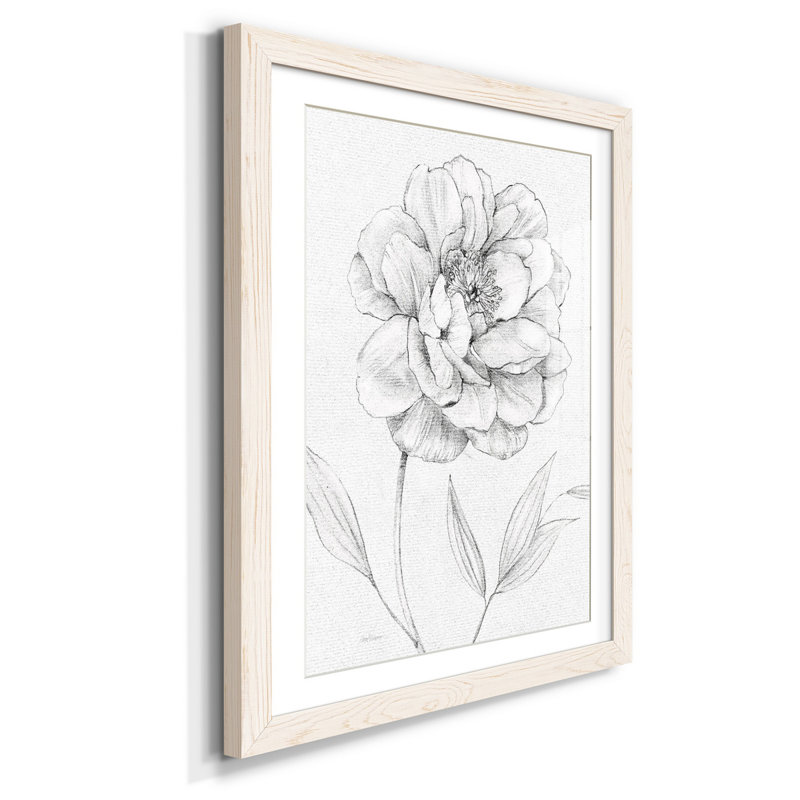 " Peony Sketch ", White, 44" H x 31" W x 1" D