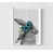 Frameless Print selected