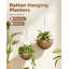 Suspension pour plantes en macramé, structure en métal, rotin tressé, ensemble de 2 (10 et 8 pouces).
