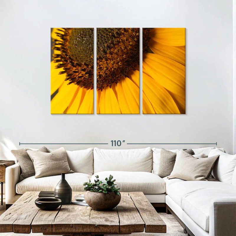 Tournesol Harnek, H 48 po x l 74 po