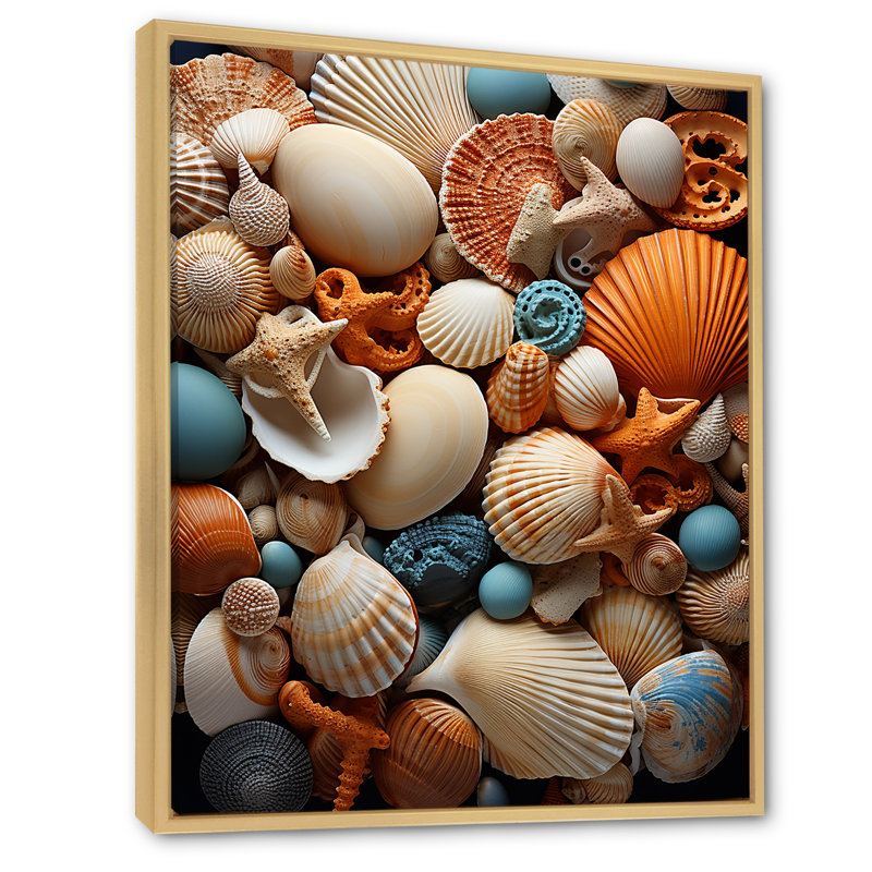 «Classic Seashells By The Sea I», reproduction sur toile, Cadre naturel flottant, H 32 po x l 24 po x P 1 po