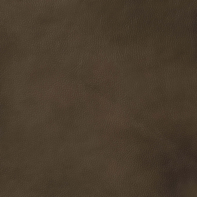 Fauteuil en cuir Gunderson Brown Sugar