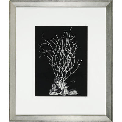 Black And White Coral I Print