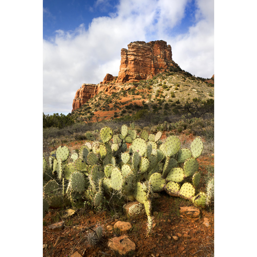 Sedona Arizona von Ricardoreitmeyer - Kunstdrucke auf Leinwand