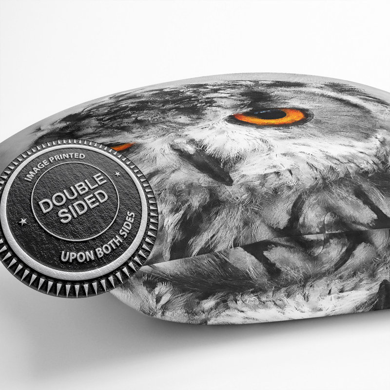 Eyed Owl Cushion with Filling, 40cm H x 40cm W x 15cm D