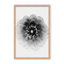 X-Ray Print by Alex Zhao-81386832-131284558-131292248