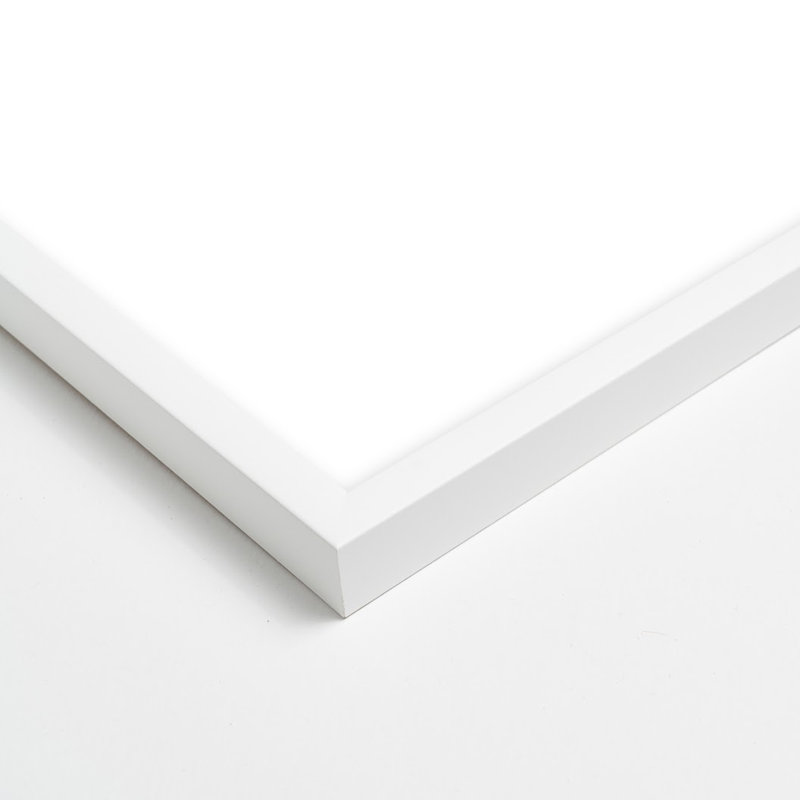 Joelle " Flora 2 " by Lee Lessem, White Framed, 50" H x 40" W x 1.25" D