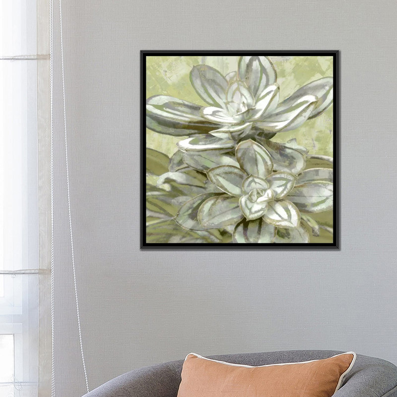 «Succulent VIII», impression sur toile, H 18 po x l 18 po x P 1,5 po, Toile avec cadre noir, Pas de tapis