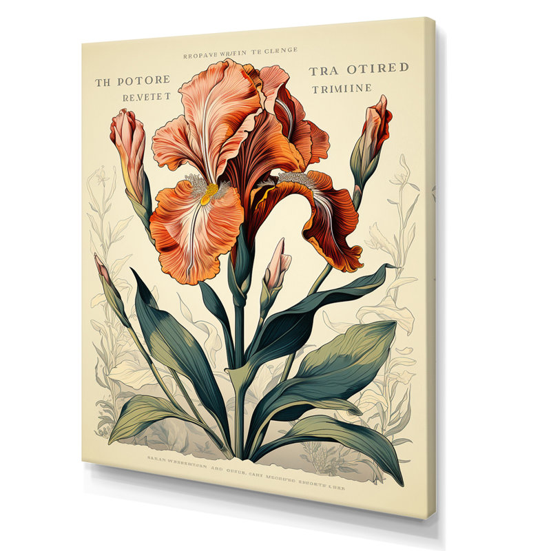 Iris rouge, illustration rétro sur toile, H 44 po x l 34 po x P 1,5 po, Toile tendue