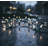 100 Lt String Light (Set of 2)-101646277-101646279