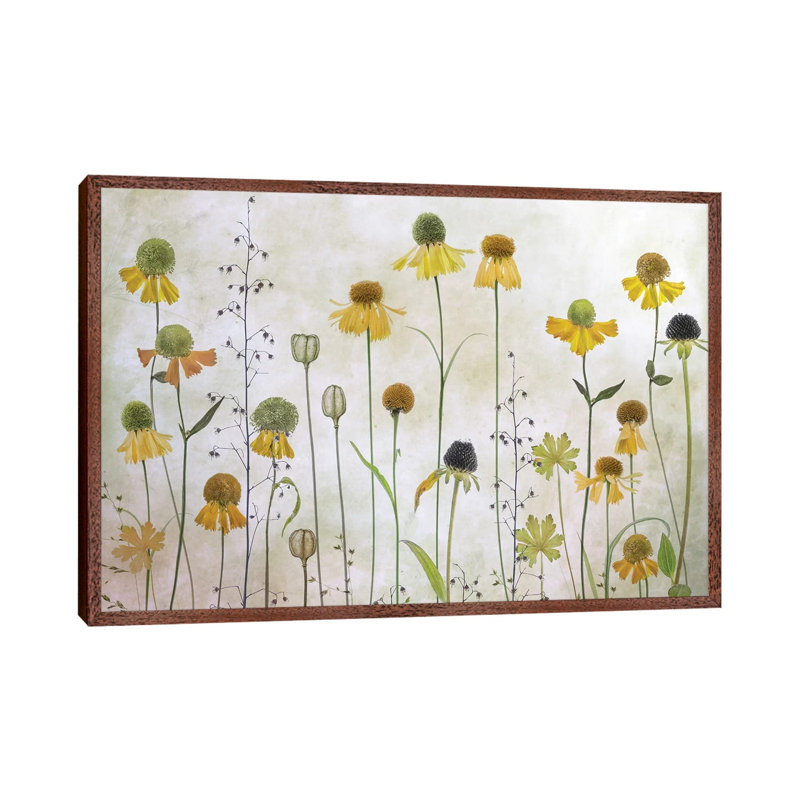 Helenium by Mandy Disher - Print on Canvas, Classic Brown Wood Framed, 66.04cm H x 101.6cm W x 3.81cm D